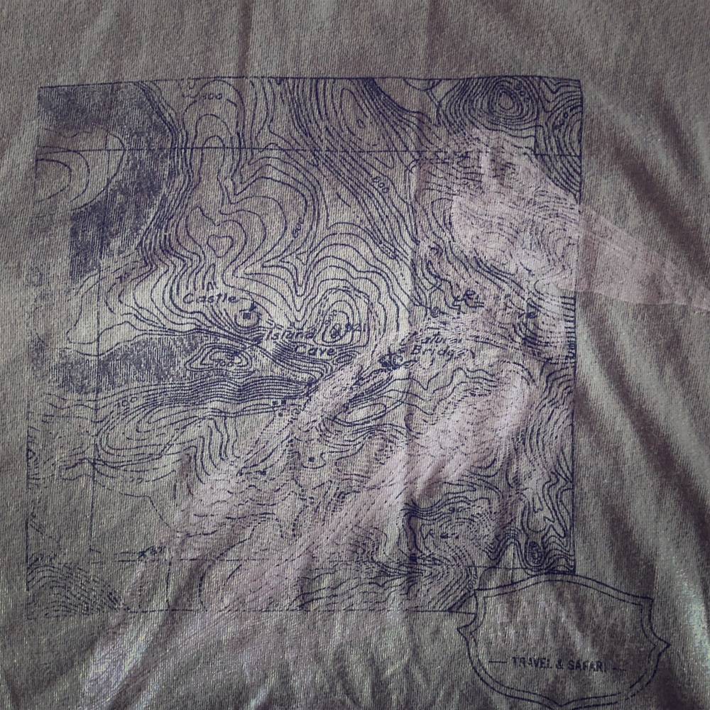 Light Grey Banana Republic T-Shirt